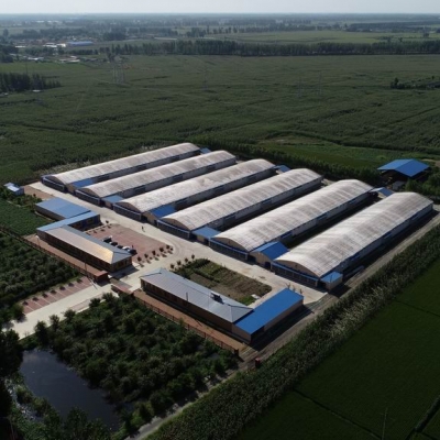 臺(tái)安縣九股河農(nóng)業(yè)發(fā)展有限公司養(yǎng)殖部