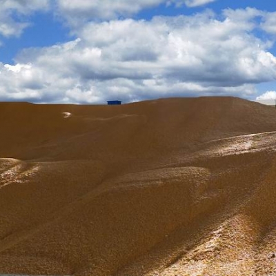 臺(tái)安稷豐糧食經(jīng)銷有限公司